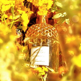 Aqua Allegoria Nettare di Sole - Guerlain