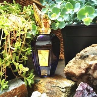 Comandante! by Xerjoff