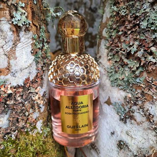 Aqua Allegoria Forte Rosa Palissandro by Guerlain