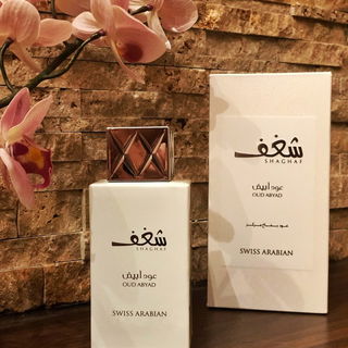 Shaghaf Oud Abyad von Swiss Arabian
