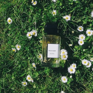 Pas Ce Soir (Eau de Parfum) - bdk Parfums