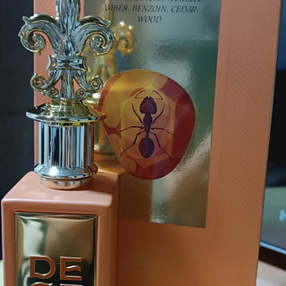 December Ámbar von Paris Corner