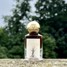 Pathétique - O'Driù
