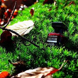 Exception (Eau de Toilette) - Gainsboro / Gainsborough