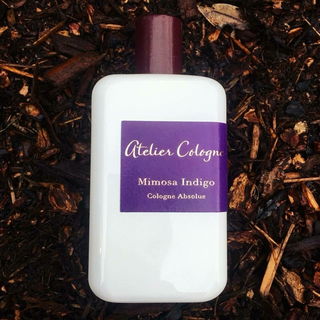 Mimosa Indigo - Atelier Cologne