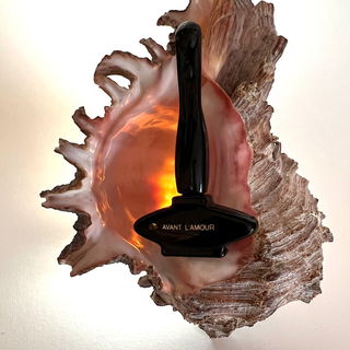 Avant l'Amour (Parfum) - Parfums Namara