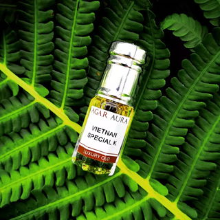 Vietnan Special K - Agar Aura