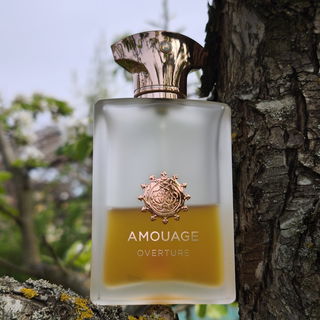 Overture Man von Amouage