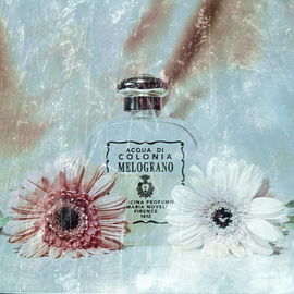 Melograno (Eau de Cologne) - Santa Maria Novella