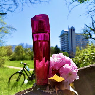 Feiert schön sonnig in den Mai !!!♥️