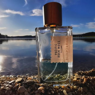 Pacific Rock Moss by Goldfield & Banks