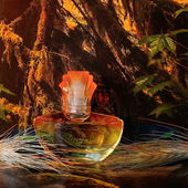 Bernstein-Amber leuchtet in der tief stehenden Sonne 🌅 Dankeschön, ich freu mich, wenn es Euch gefällt 🥰 (by MadameLegras)