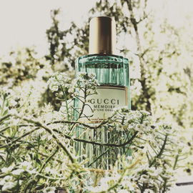 Mémoire d'une Odeur - Gucci