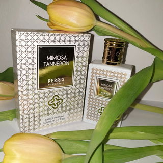 Mimosa Tanneron - Perris Monte Carlo