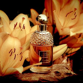 Aqua Allegoria Lys Soleia - Guerlain