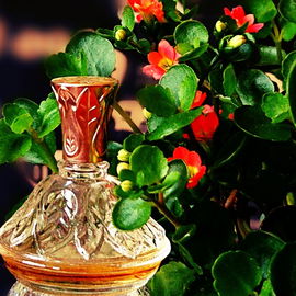 Elusive (Perfume) - Avon