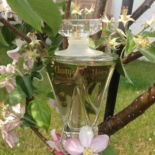 Champs-Élysées (Eau de Toilette) von Guerlain