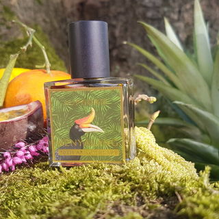 Vormittag in Köln bei 18 Grad und Sonneschein den ganzen Tag am 07.03.25