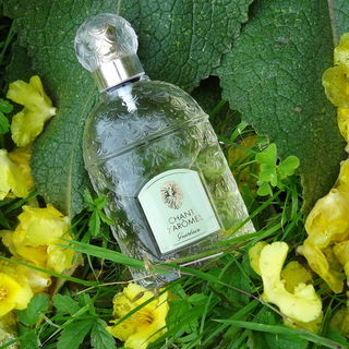 Chant d'Arômes (Eau de Toilette) von Guerlain
