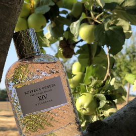 Parco Palladiano XIV: Melagrana - Bottega Veneta