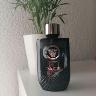 Pace by Jaguar