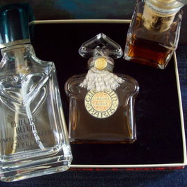 Nigritella - Oriental Orchid - The Body Shop