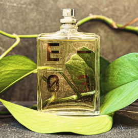 Shalimar (Eau de Cologne) - Guerlain