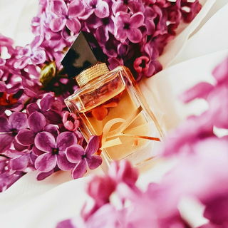 Libre (Eau de Parfum) von Yves Saint Laurent