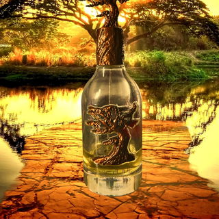 Y (Eau de Parfum) - Yves Saint Laurent