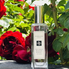 Nectarine Blossom & Honey (Cologne) - Jo Malone