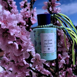 forte_forte loves Acqua di Parma: Blu Mediterraneo - Mirto di Panarea - Acqua di Parma