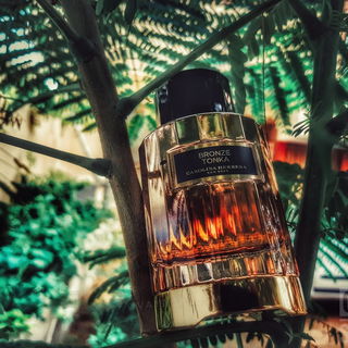 by Ovaissaleem