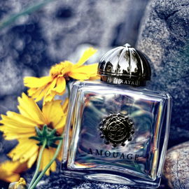 Portrayal Woman - Amouage