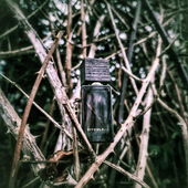 DornRÖSCHEN (by ChatonNoir)