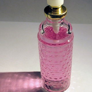 Wild Orchid Musk by Coty