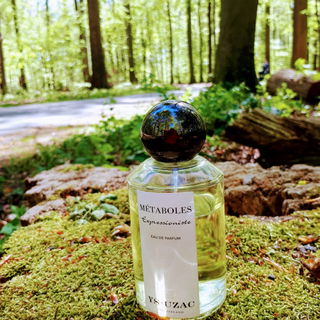 Métaboles - Expressioniste von YS Uzac