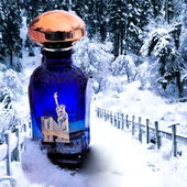 Ich wünsche euch allen ein schönes Weihnachtsfest und ein gutes und gesundes neues Jahr 🤗 (by Gandix)