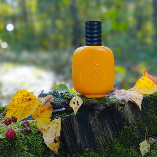 Vanille Paradoxe - Les Parfums de Rosine