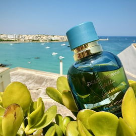 Light Blue pour Homme Forever - Dolce & Gabbana