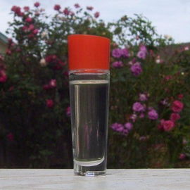 Velocity - Mary Kay