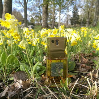 von MissGuerlain