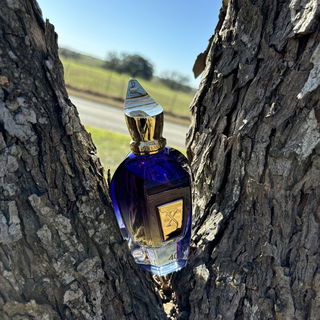 40 Knots von Xerjoff