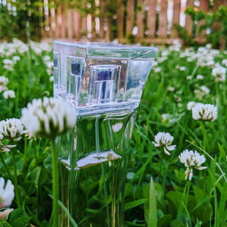 She provokes a reaction