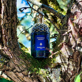 Patchouli Ardent - Guerlain