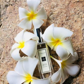 30ml Flakon