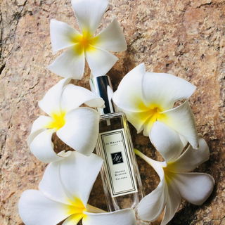 Orange Blossom (Cologne) by Jo Malone