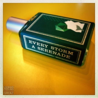 Every Storm a Serenade (2015) - Imaginary Authors