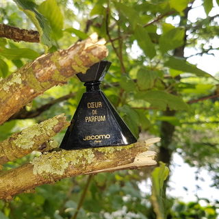Cœur de Parfum / Parfum Rare (Eau de Parfum) - Jacomo