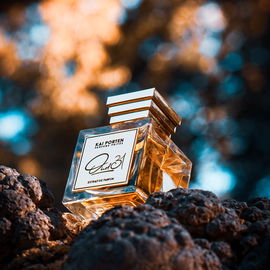 Oud 31 - Kai Porten Parfums Privés