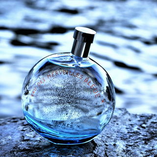 Eau des Merveilles Bleue - Hermès